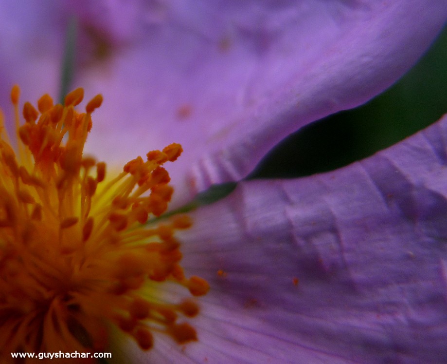 P1860626