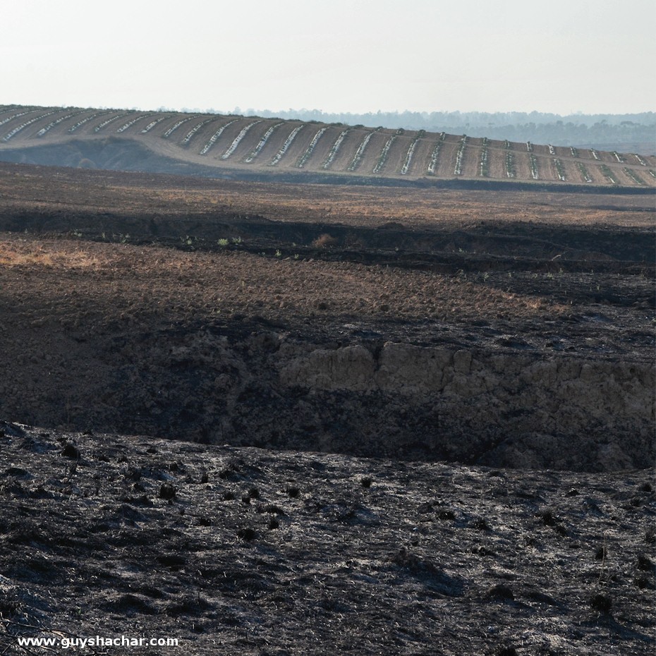 Gaza_Envelope_2017_2018_DSC_8344