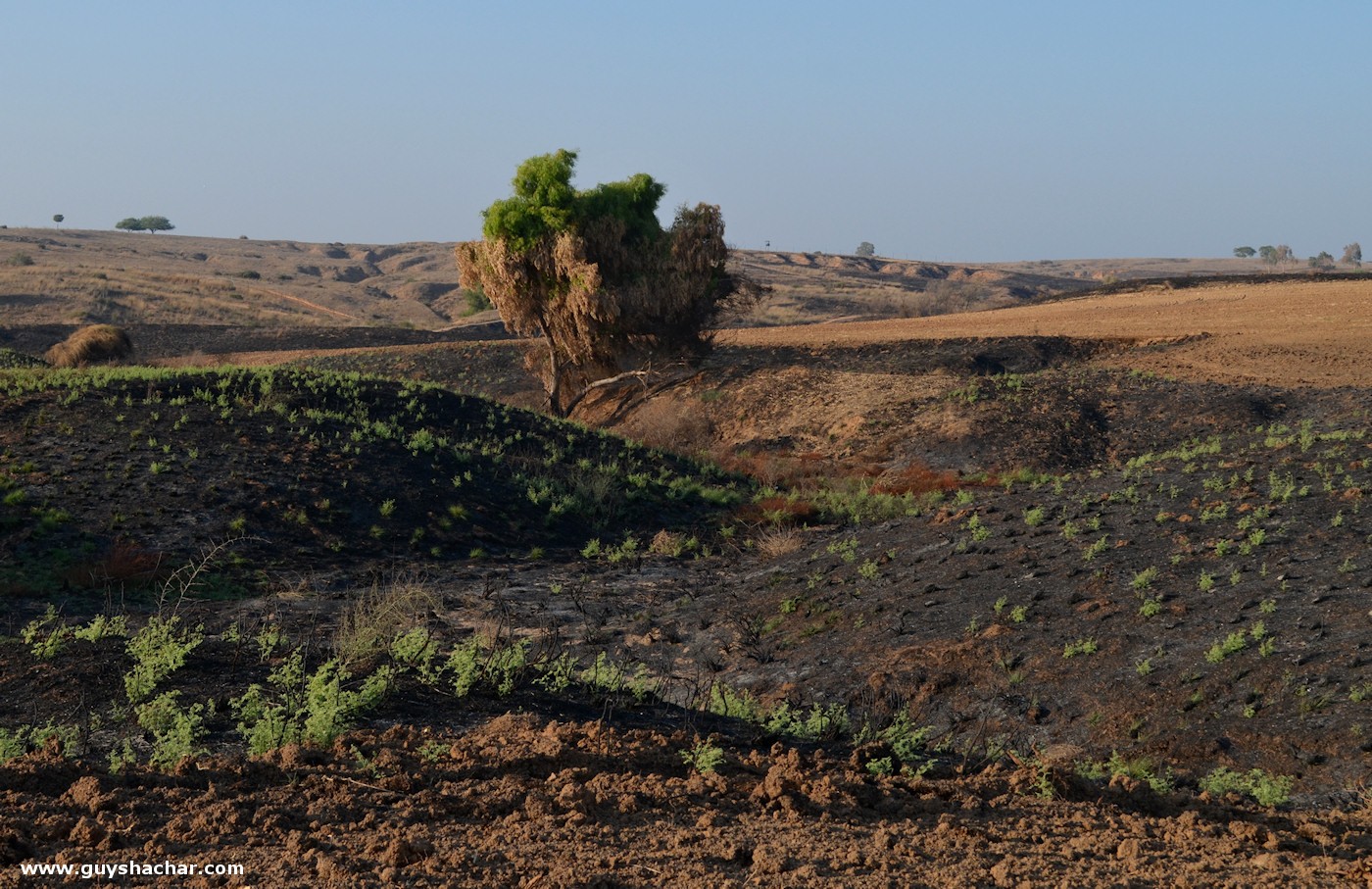 Gaza_Envelope_2017_2018_DSC_8373