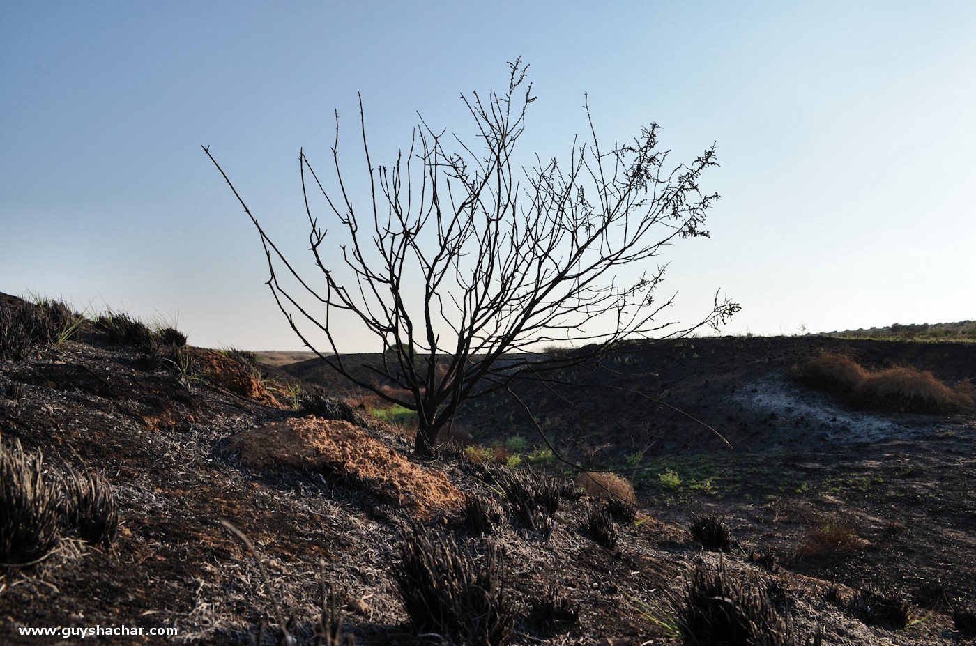 Gaza_Envelope_2017_2018_DSC_8376