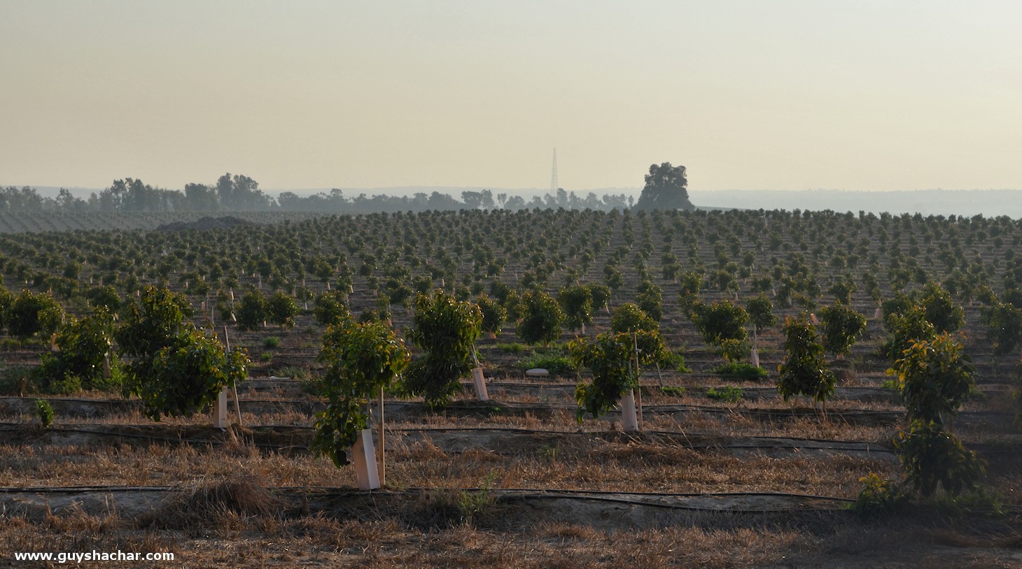 Gaza_Envelope_2017_2018_DSC_8399