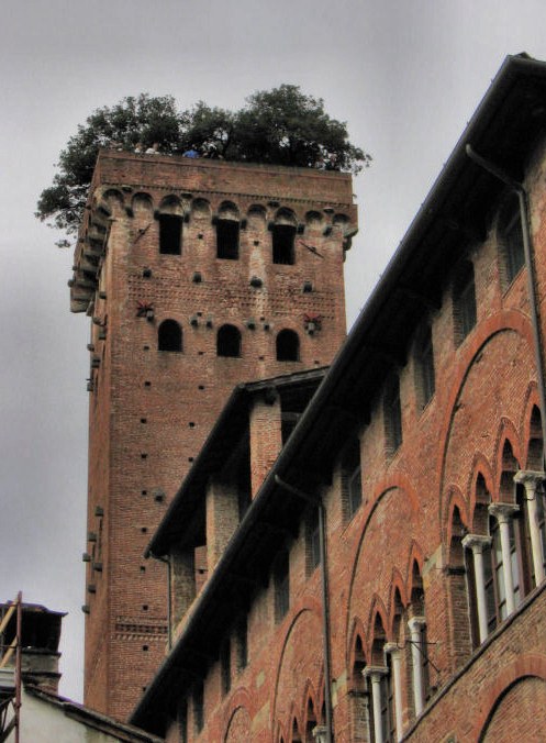 lucca_torre_guinigi_8687