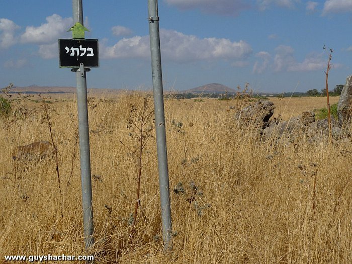 השלטים בגולן הם ממש דבר בלתי יאמן