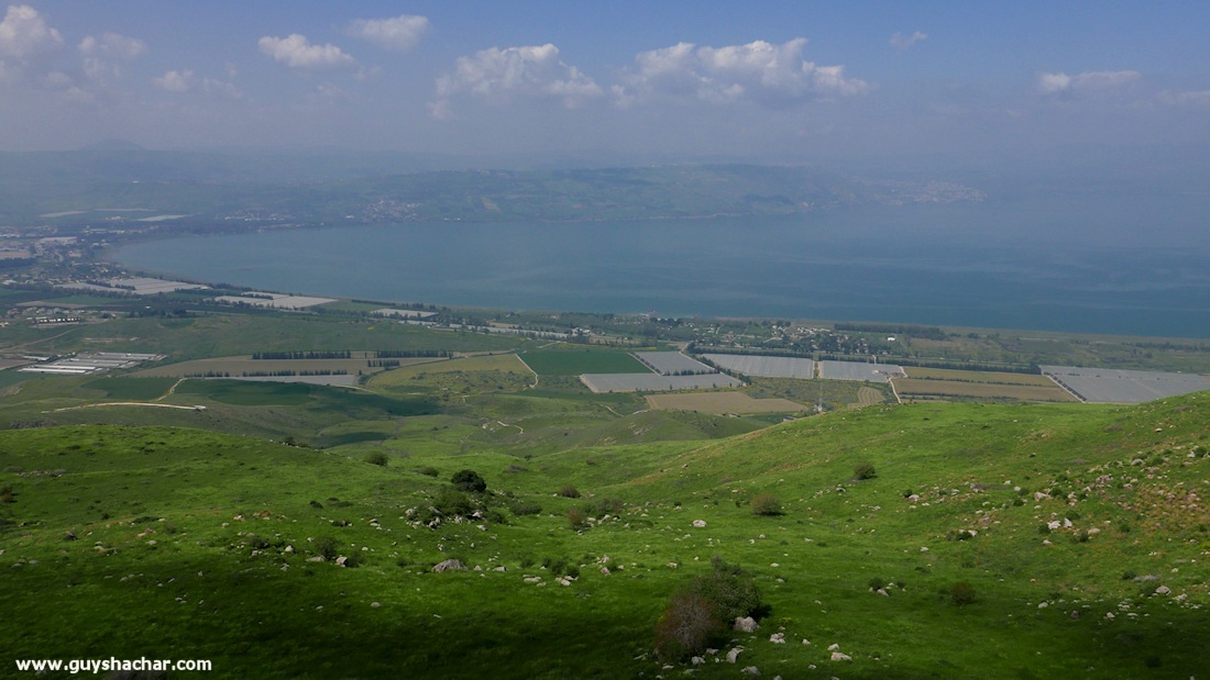 Golan_South_P1020480