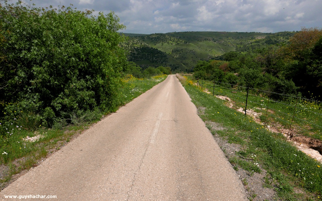 Golan_South_P1020520
