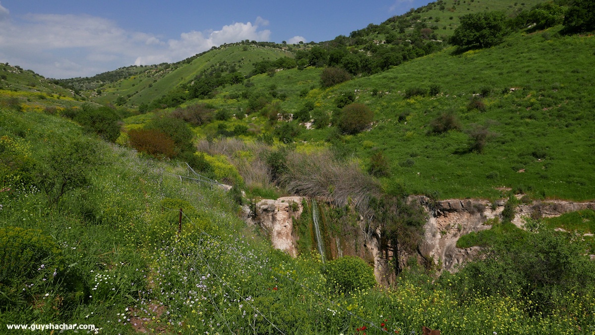 Golan_South_P1020531