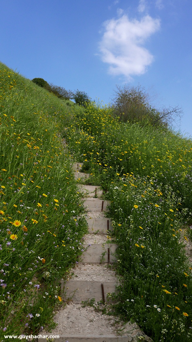 Golan_South_P1020583