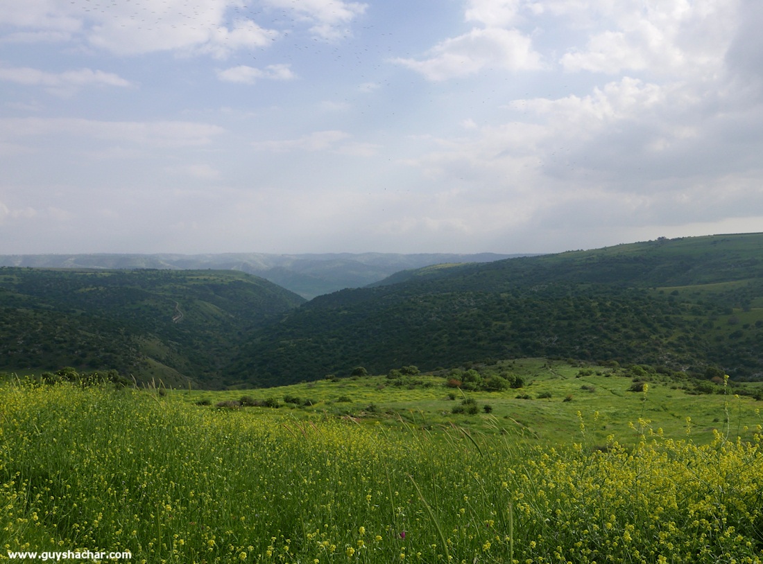 Golan_South_P1020595