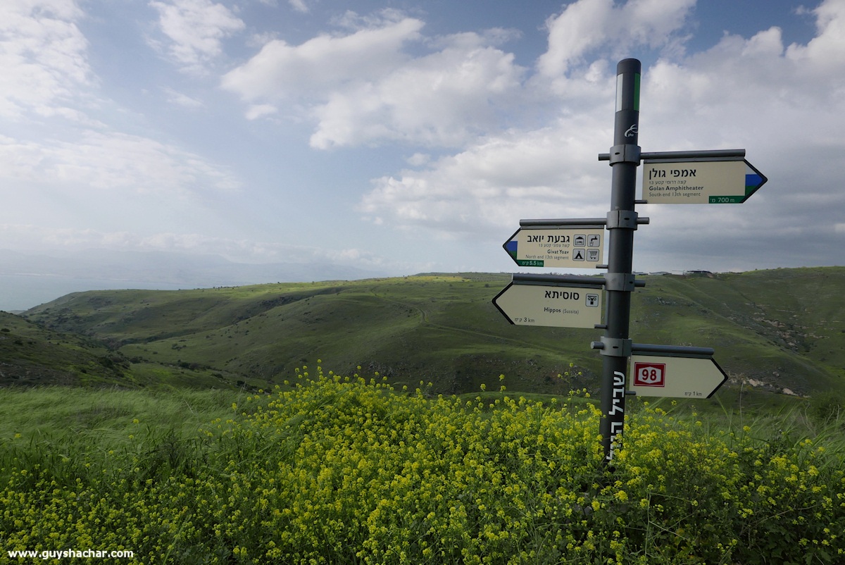 Golan_South_P1020603