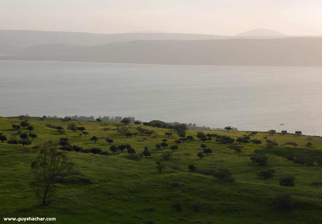 Golan_South_P1020625