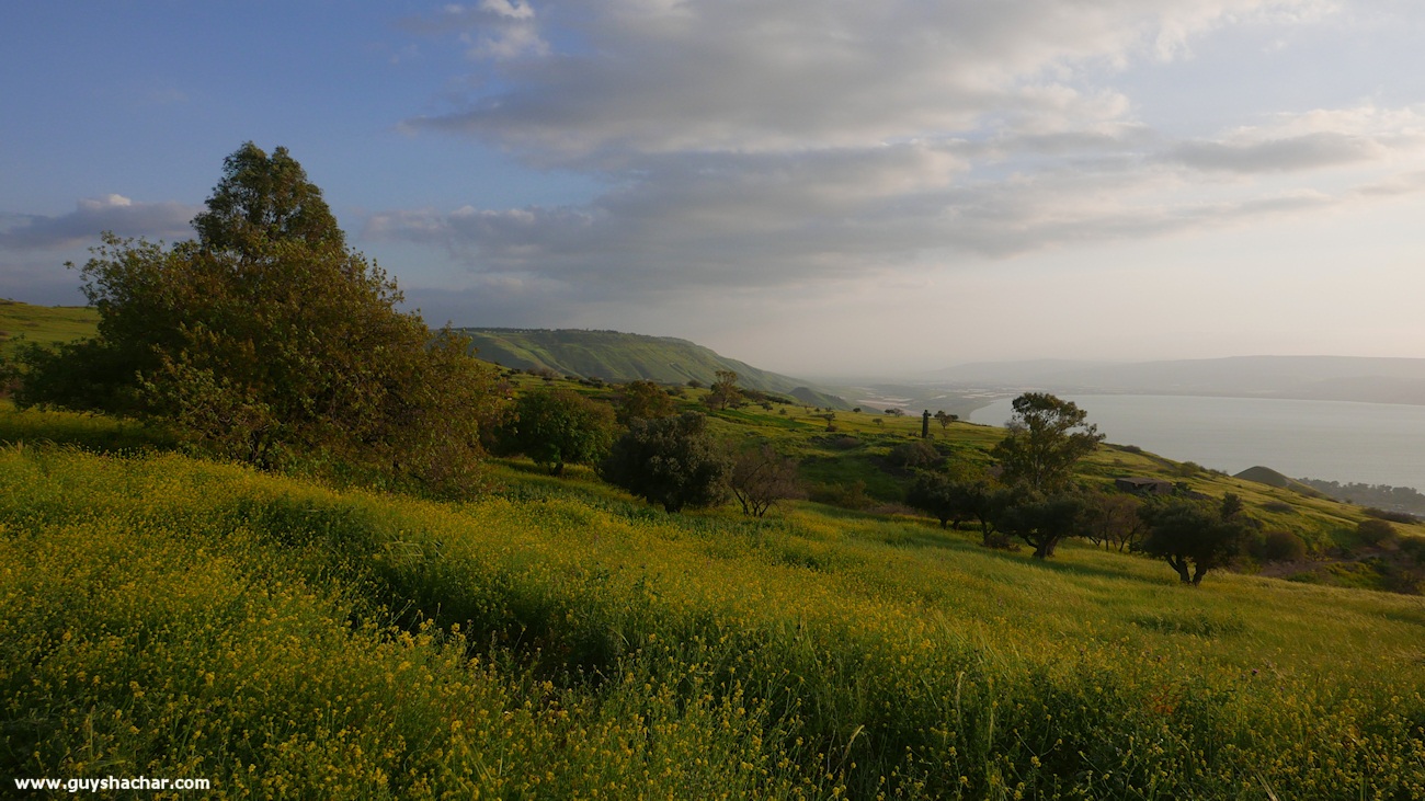 Golan_South_P1020641