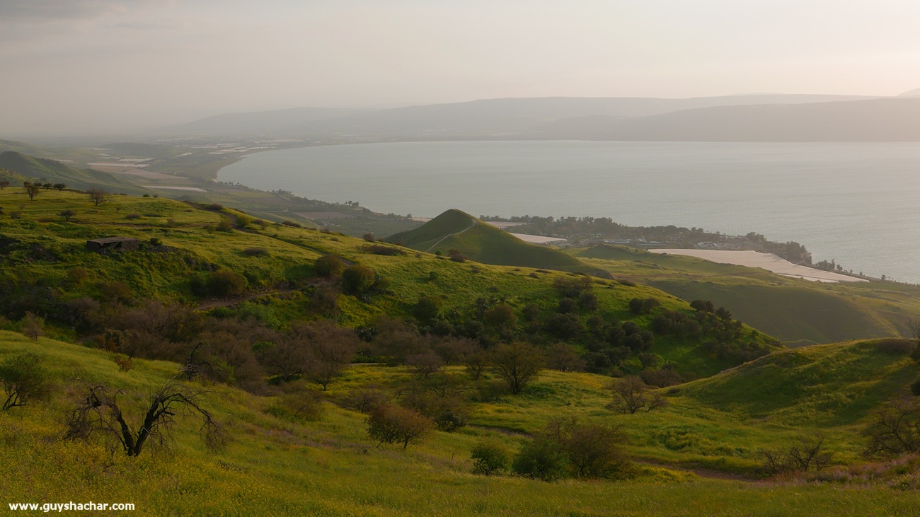 Golan_South_P1020643