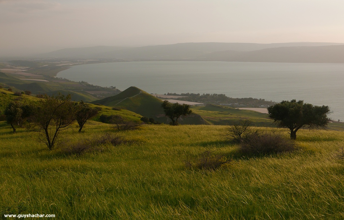 Golan_South_P1020655