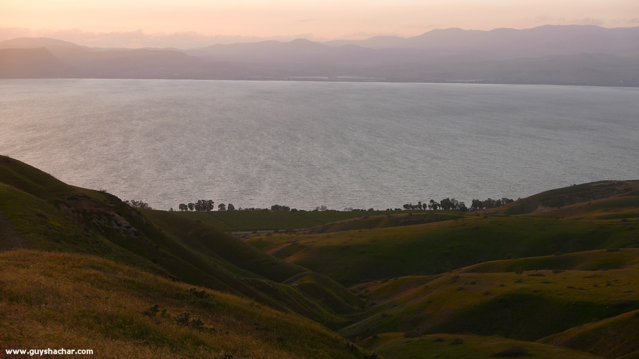 Golan_South_P1020691