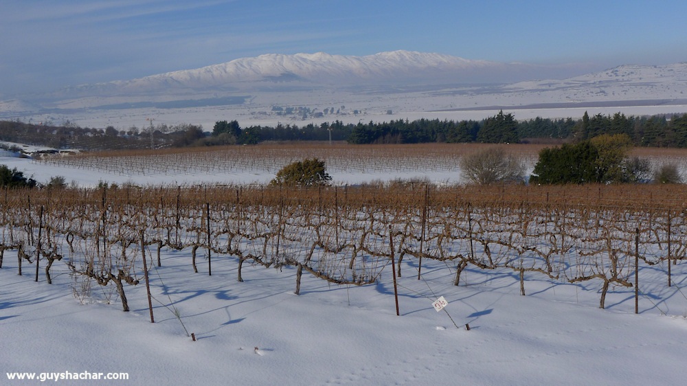 Golan_Snow_Ice_P1250139