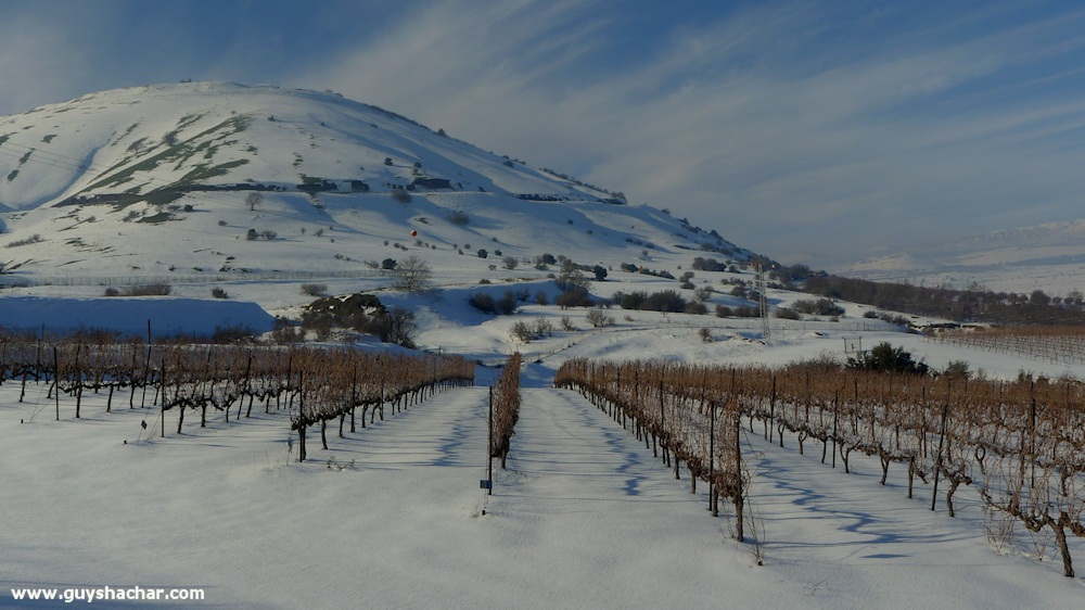 Golan_Snow_Ice_P1250142