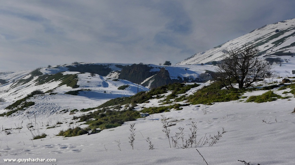Golan_Snow_Ice_P1250145s