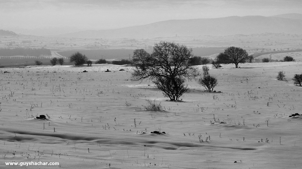 Golan_Snow_Ice_P1250178s