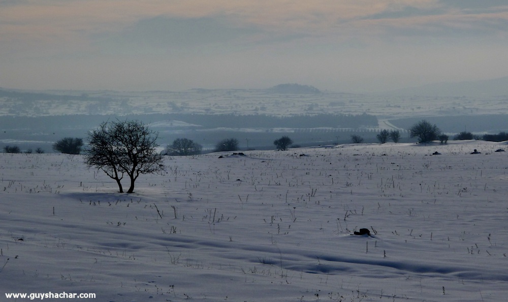 Golan_Snow_Ice_P1250180