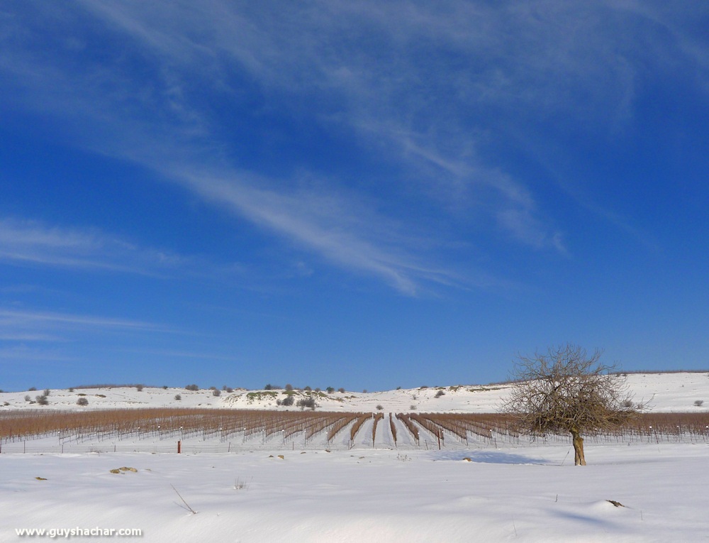 Golan_Snow_Ice_P1250208