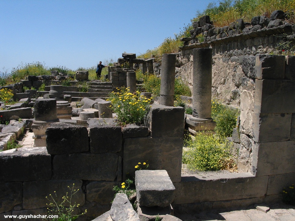 Golan-South-West-IMG_8902