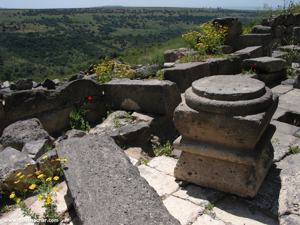 Golan-South-West-IMG_8905