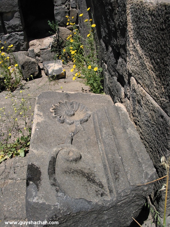 Golan-South-West-IMG_8910