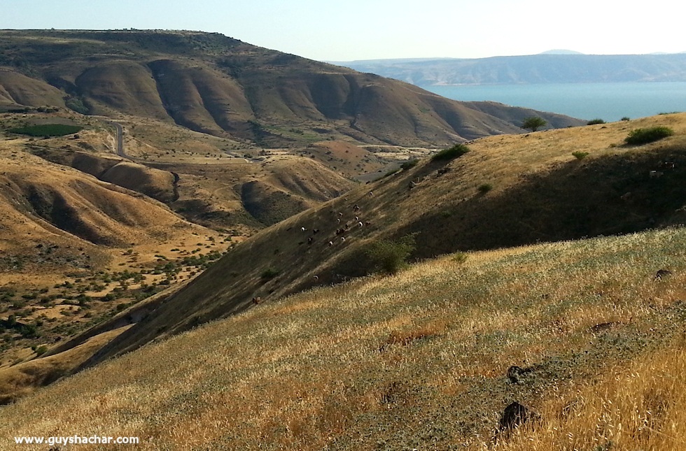 Golan-South-West_20140428_171521b