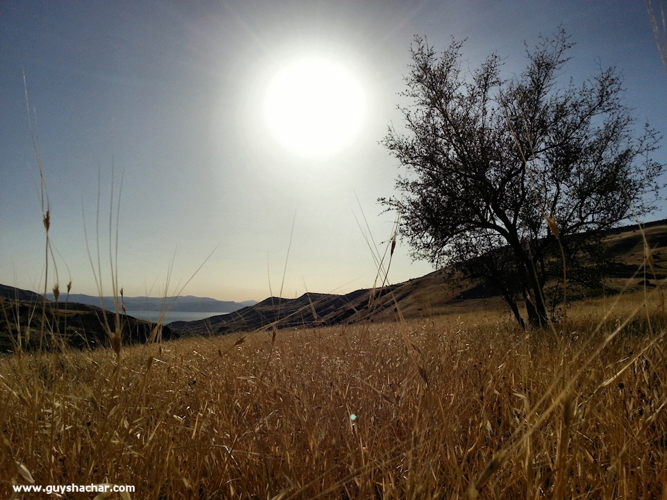 Golan-South-West_20140428_173048