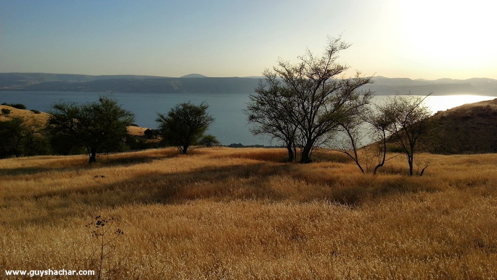 Golan-South-West_20140428_180843