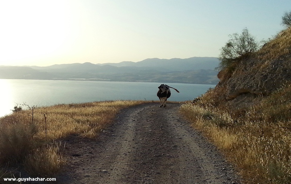 Golan-South-West_20140428_181806