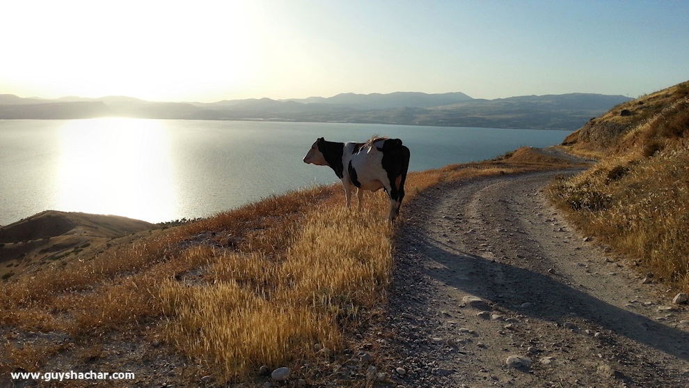 Golan-South-West_20140428_181852