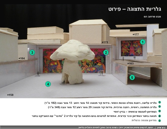 Hes-Golomb-Art-Museum-08.jpg