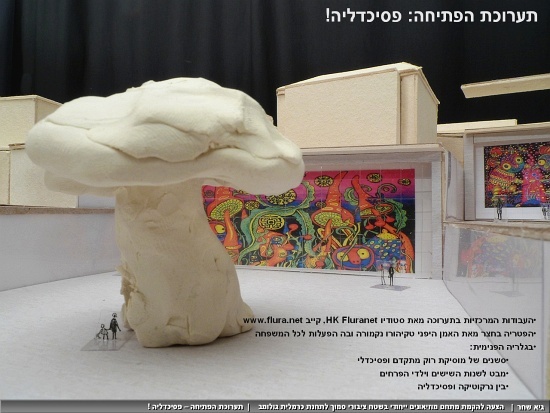 Hes-Golomb-Art-Museum-15.jpg