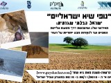 כרזה להרצאה-מצגת \"נופי שיא ישראליים\" בטכניון