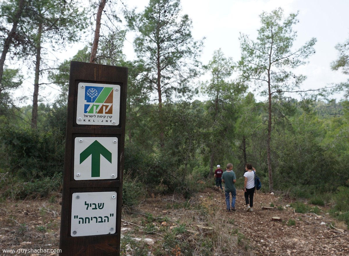 HaBriha_Trail_Israel_DSC00026