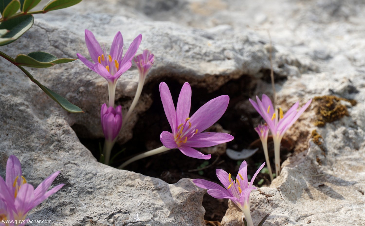 HaBriha_Trail_Israel_DSC00032