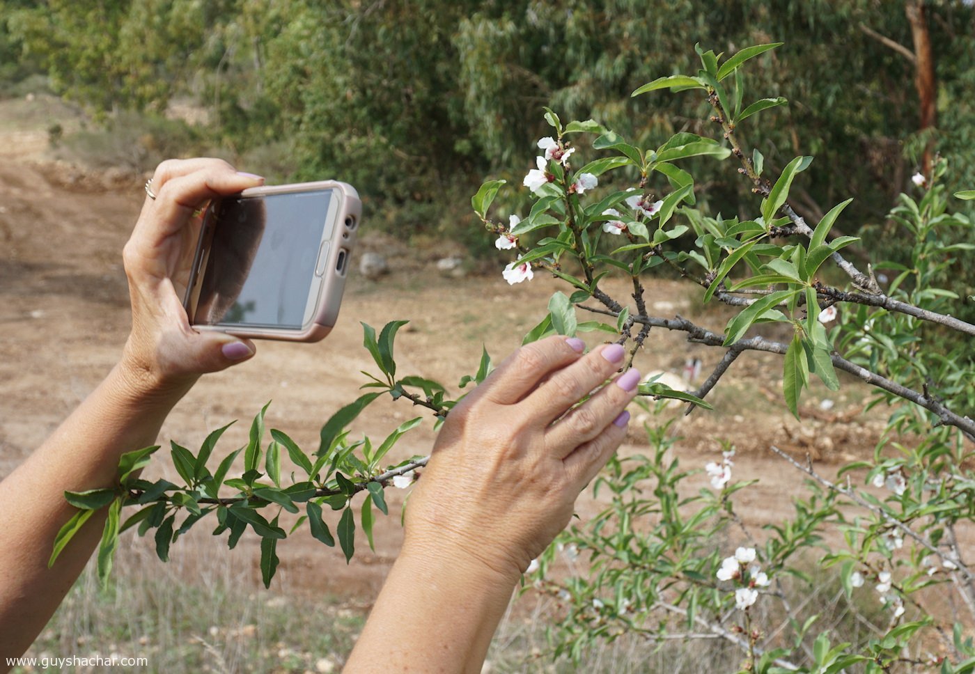 HaBriha_Trail_Israel_DSC00036