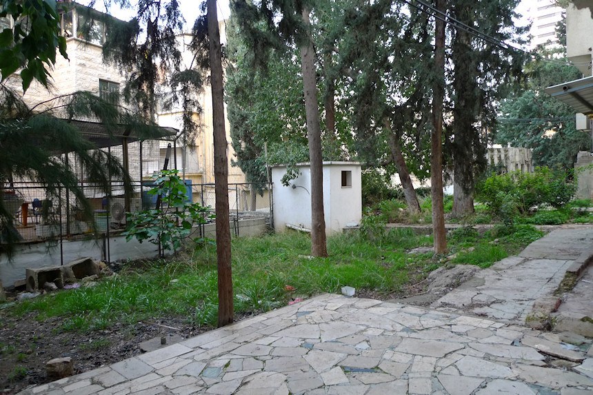 P1570094.JPG