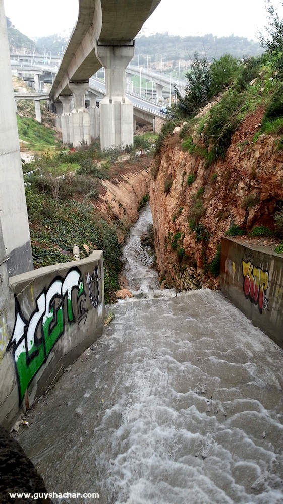 Haifa_Giborim_Rushmia_20150212_112422
