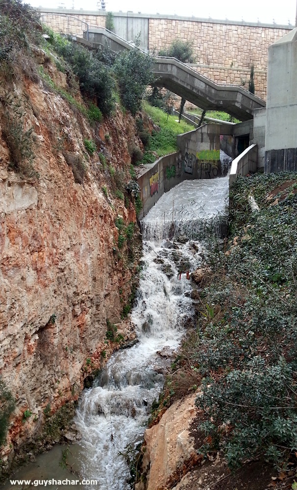 Haifa_Giborim_Rushmia_20150212_112733