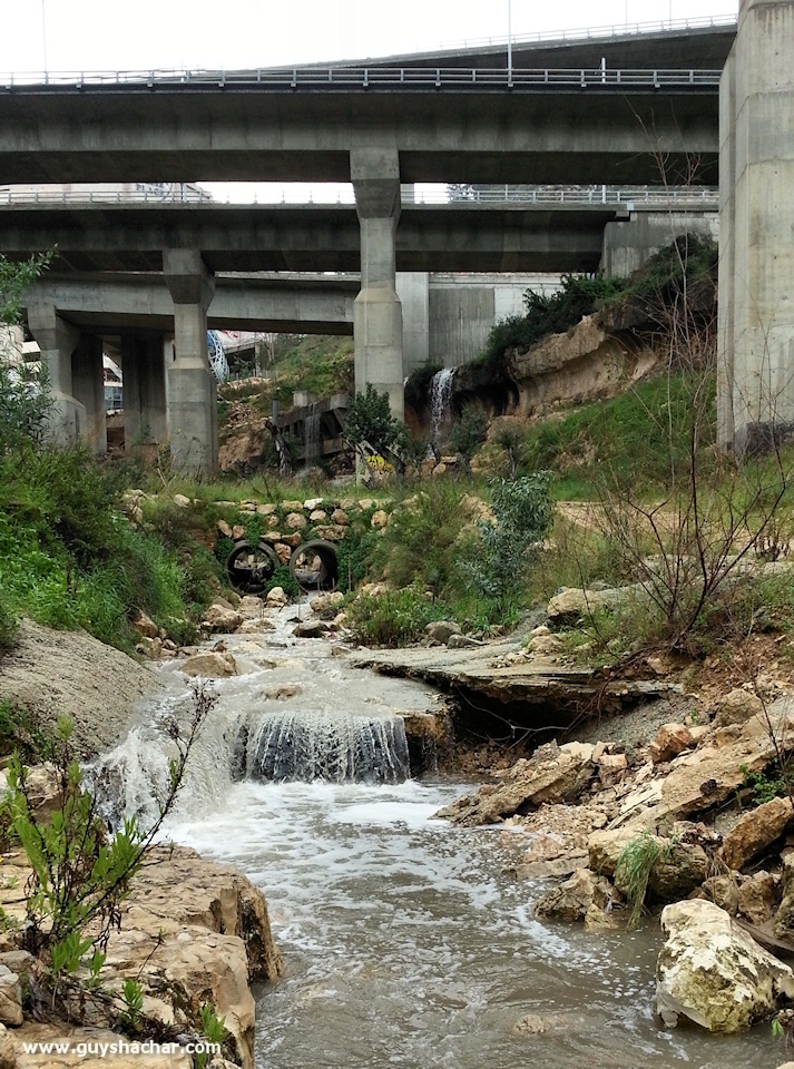 Haifa_Giborim_Rushmia_20150212_121552