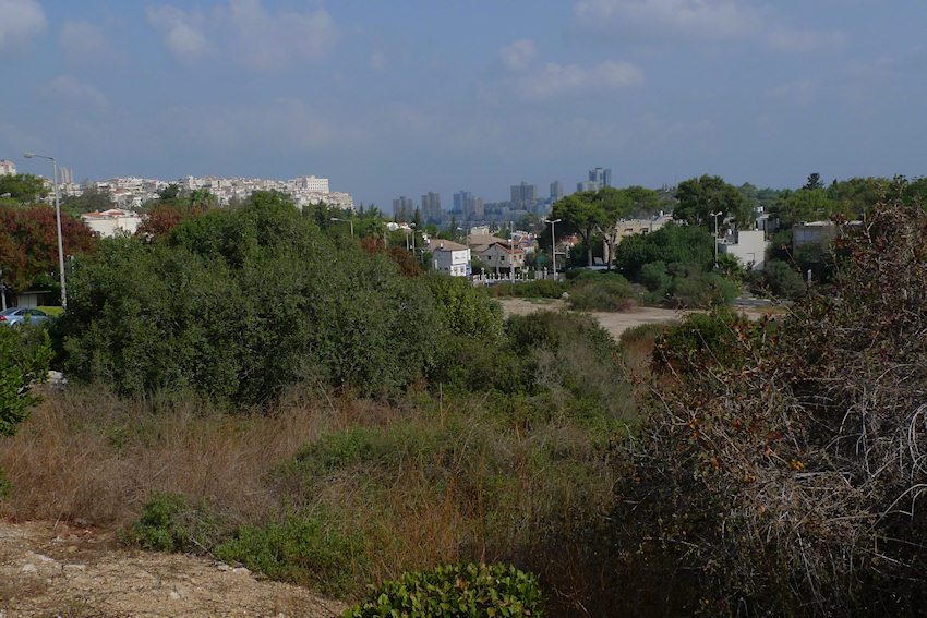 p1700109.jpg