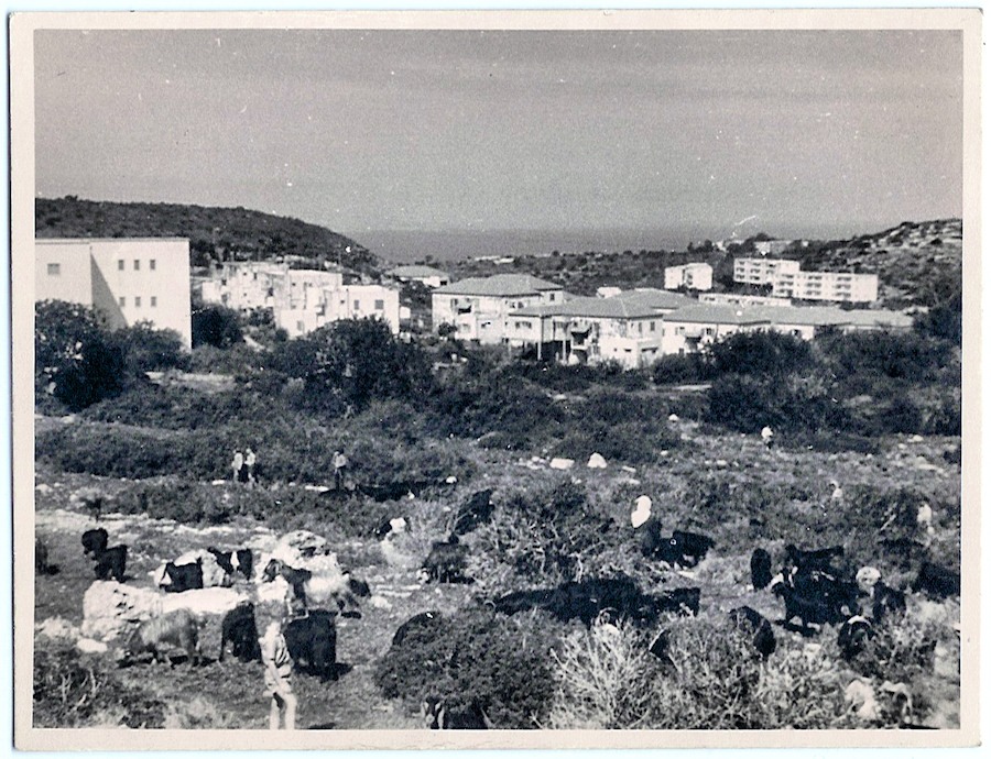 remez-old-900px.jpg