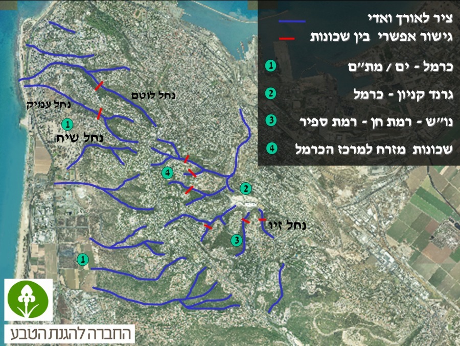 haifa-wadis-presentation-1.jpg