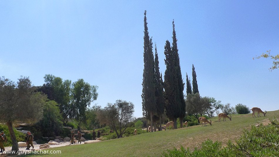 P1690627.JPG