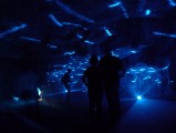 Zedekiah\'s Cave - The Underwater World - Eran Klein and Eli Kochavi
