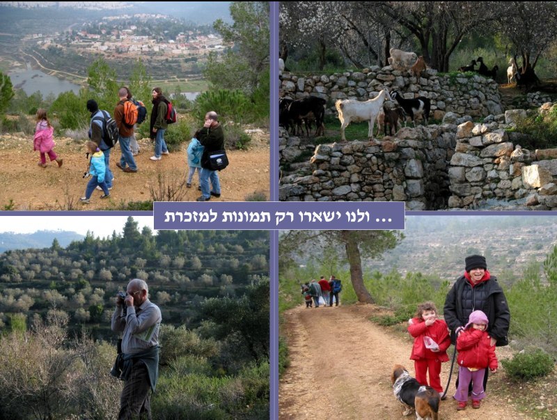 jerusalem-mountains-preservation2.jpg