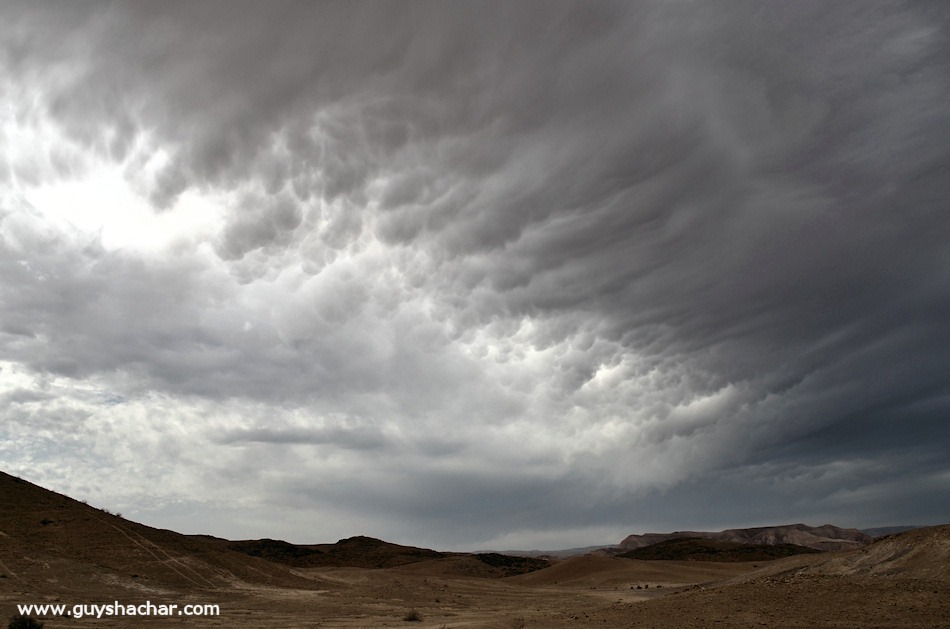 Judean-desert-mamatus-DSC_1841