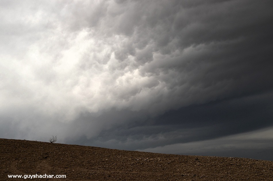 Judean-desert-mamatus-DSC_1850
